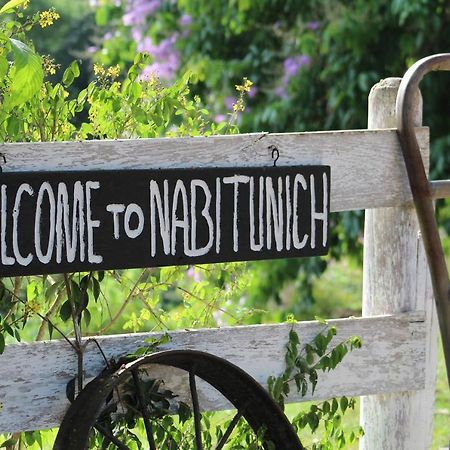 فيلا Nabitunich سان إجناسيو المظهر الخارجي الصورة