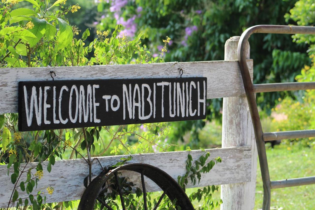 فيلا Nabitunich سان إجناسيو المظهر الخارجي الصورة