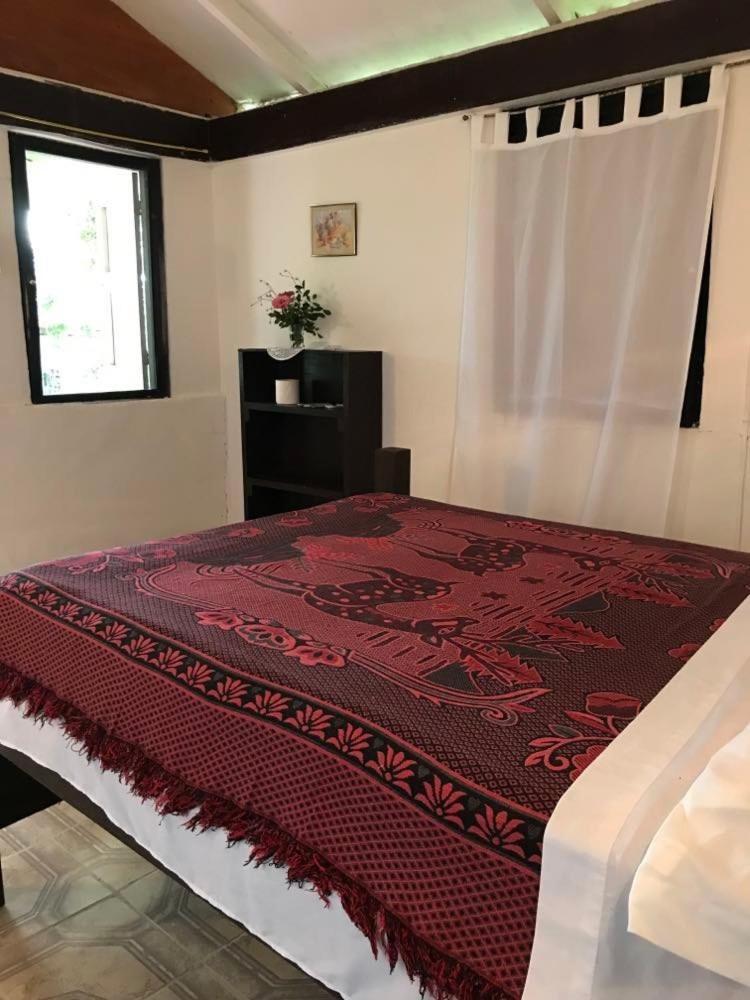 فيلا Nabitunich سان إجناسيو المظهر الخارجي الصورة